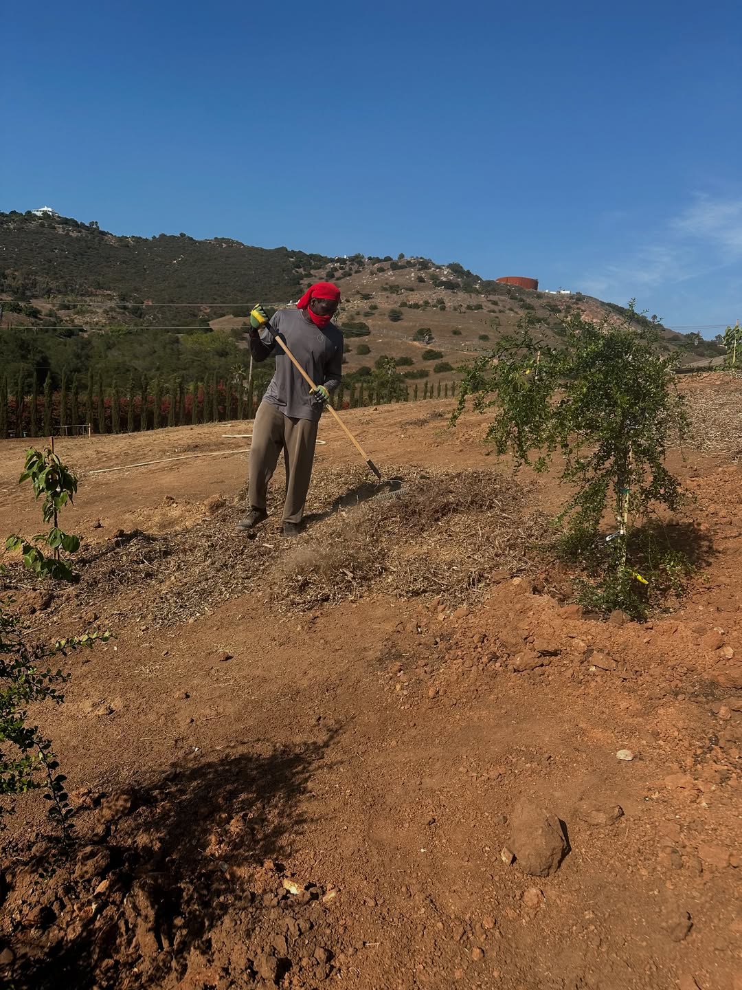 分享, img, 分享 分享, img, 分享