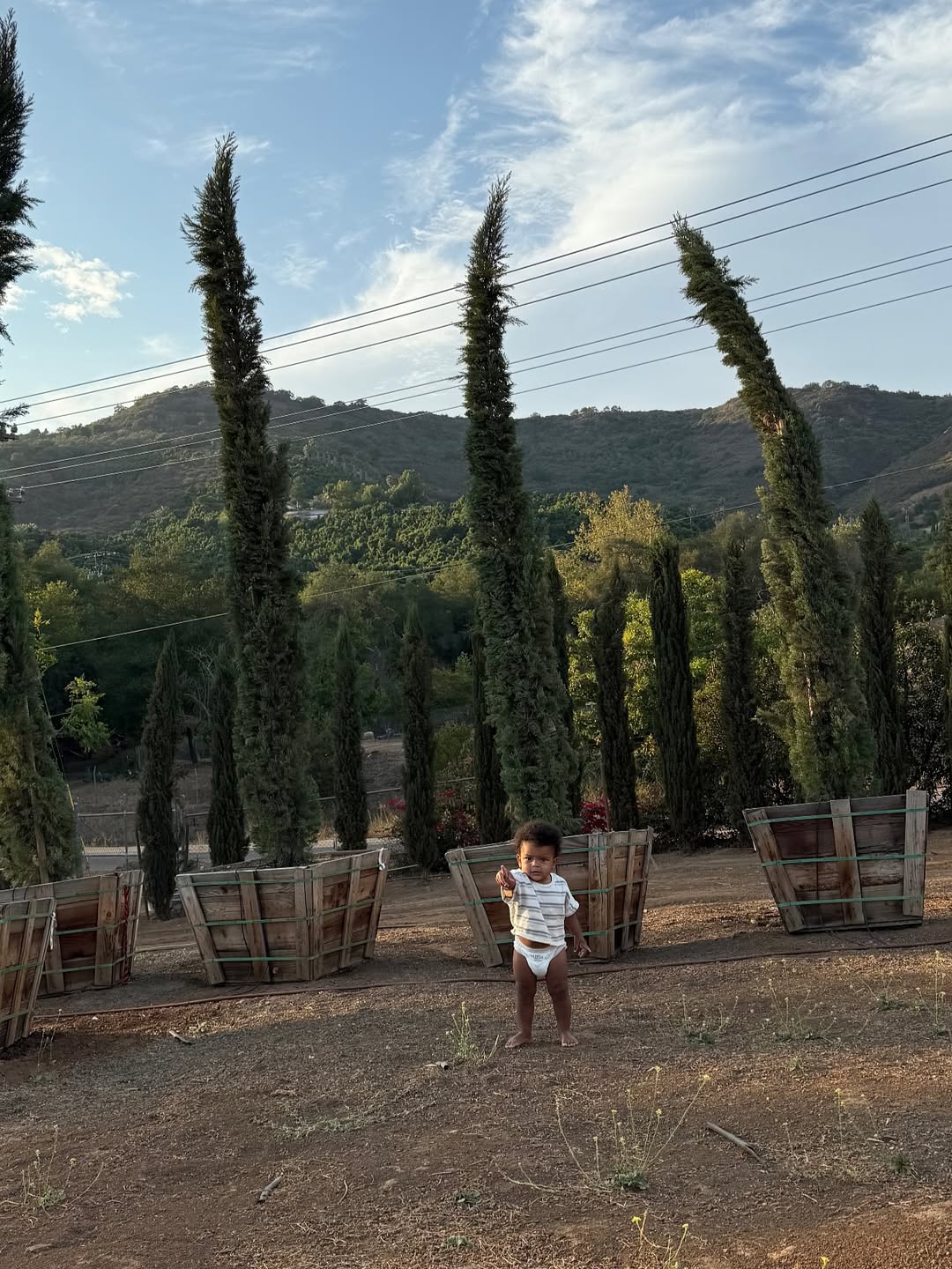 img, img, 斯图尔特晒 img, img, 斯图尔特晒