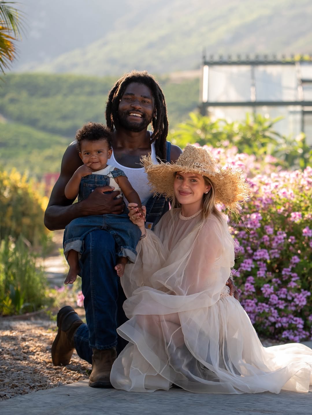 分享, amp 分享, amp